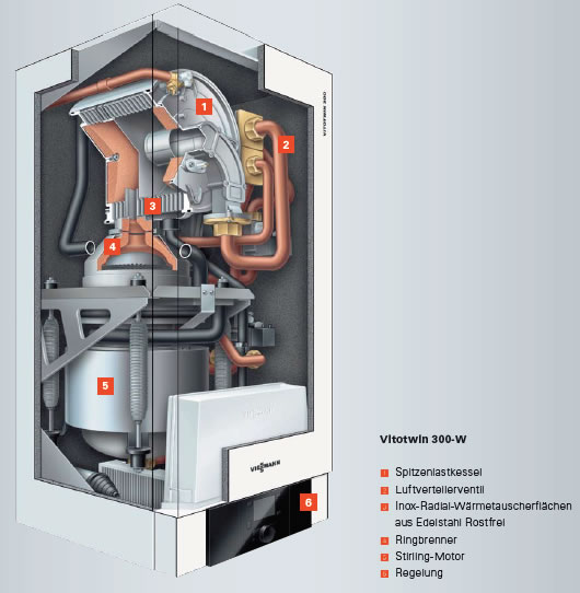 viessmann 300W